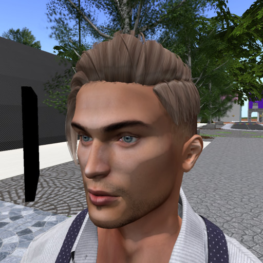 Profile photo of avatar Starlit Sky