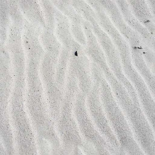 Sandy surface with subtle waves and small particles, creating a textured appearance.